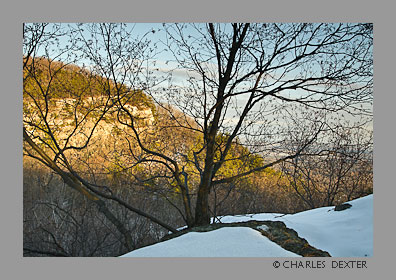image 0503 Copyright © 2009 by Charles Dexter. All rights reserved