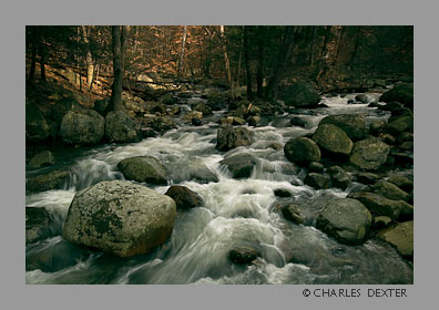 image 0505 Copyright © 2009 by Charles Dexter. All rights reserved