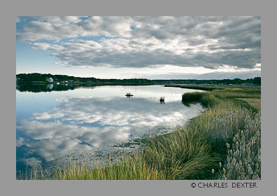 image 0506 Copyright © 2009 by Charles Dexter. All rights reserved