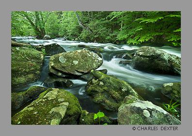 image 0511 Copyright © 2009 by Charles Dexter. All rights reserved