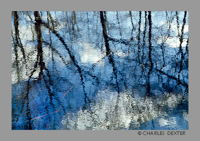image 0710 Copyright © 2009 by Charles Dexter. All rights reserved