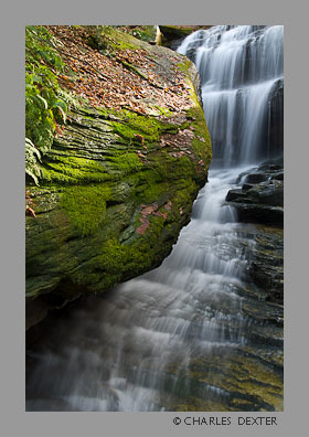 image 0807 Copyright &copy; 2009 by Charles Dexter. All rights reserved