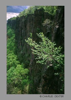 image SP-24 Copyright &copy; 2009 by Charles Dexter. All rights reserved