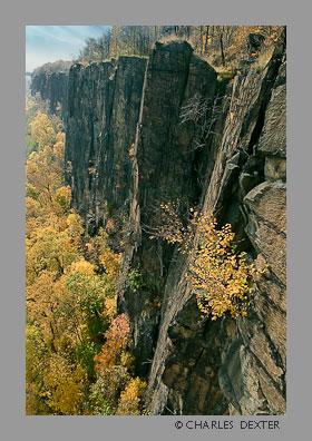 image SP-26 Copyright &copy; 2009 by Charles Dexter. All rights reserved